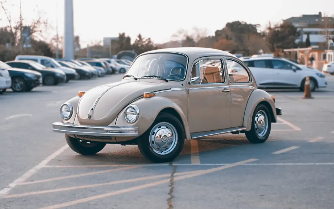 Parking Made Easy: Master Parallel and Reverse Parking