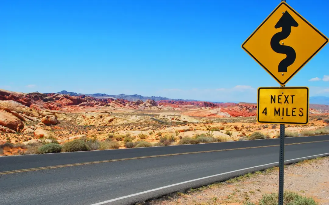 Understanding Road Signs and Traffic Rules: A Beginner’s Guide